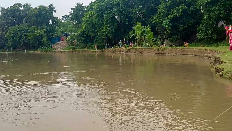 পদ্মার ভয়াবহ ভাঙনে গোদাগাড়ীর কুঠিপাড়ায় আতঙ্ক টেকসই বাঁধের দাবিতে ক্ষোভ